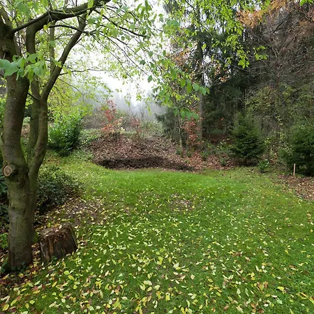 Charming In The Harz With Wonderful Excursion Opportunities Apartment *